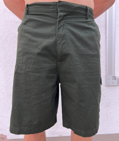 Dickies Cargo Shorts (58)