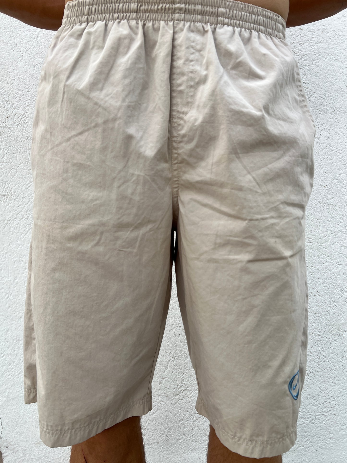 Nike Shorts (L)